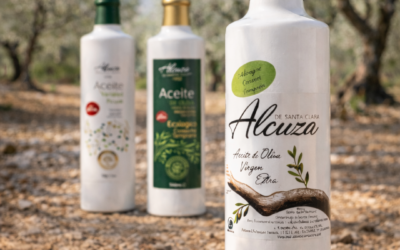 La campaña de aceite de oliva: del olivar a tu mesa | AOVE de calidad