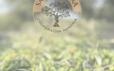 Cooperativa agraria: tradición, calidad y futuro del aceite de oliva